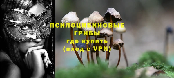 тгк Алзамай