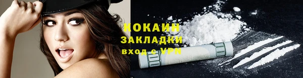 тгк Алзамай