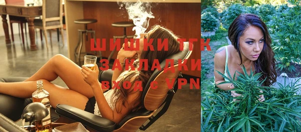 тгк Алзамай