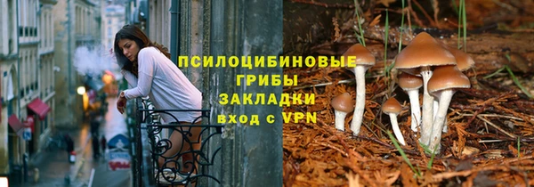 apvp Алексеевка