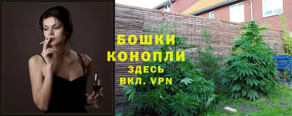apvp Алексеевка