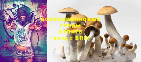 тгк Алзамай