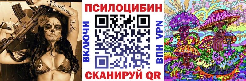 где купить наркотик  Ардатов  Галлюциногенные грибы прущие грибы 